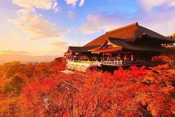 Kyoto Nara Trip Kiyomizu-dera Temple Fushimi Inari & Nara Park