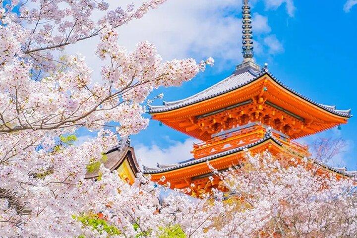 Kyoto Nara Trip Kiyomizu-dera Temple Fushimi Inari & Nara Park