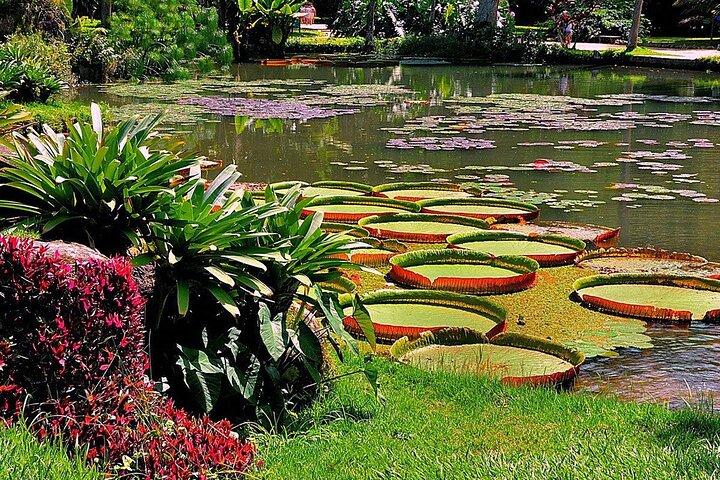 Guided Tour to Botanical Garden and Lage Park