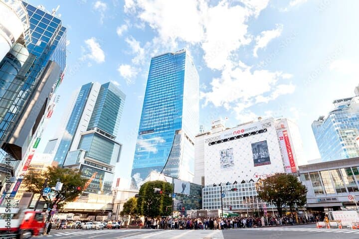 Private Tokyo Custom Half-Day Tour by Chartered Vehicle