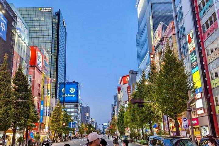 Private tour Tokyo Otaku visit places on anime and manga