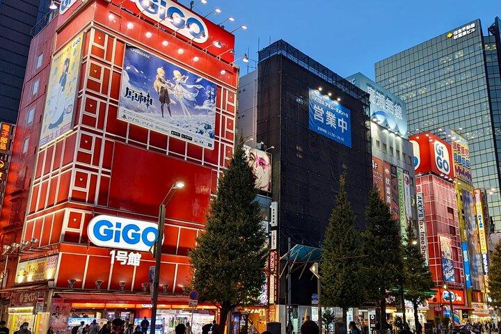 Private tour Tokyo Otaku visit places on anime and manga