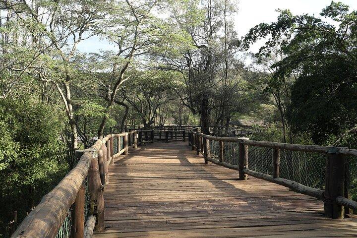 Nairobi Safari Walk Half Day Tour