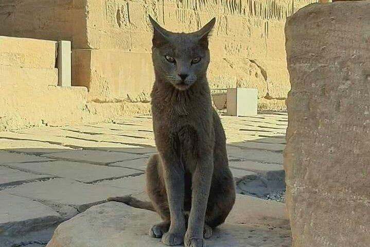 VIP Pyramids Tour and Quad Bike around the Pyramids
