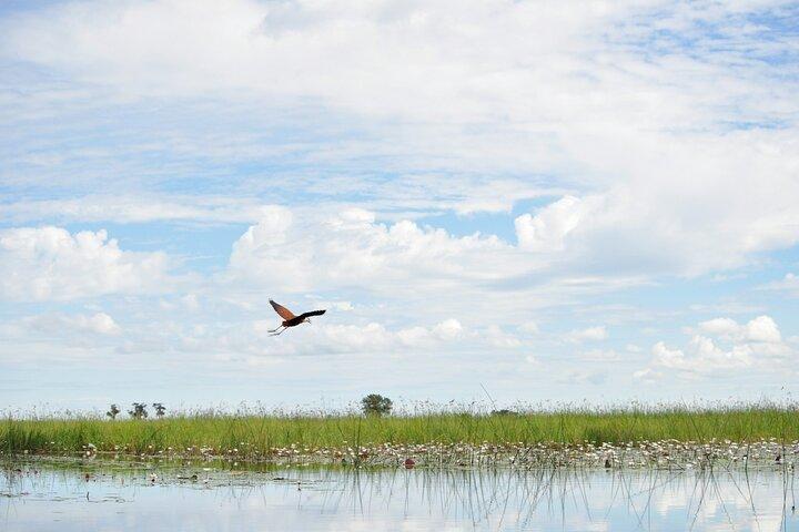 Full Day Okavango Mokoro Tour