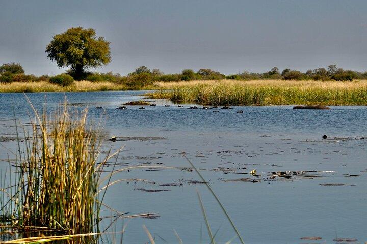 Full Day Okavango Mokoro Tour