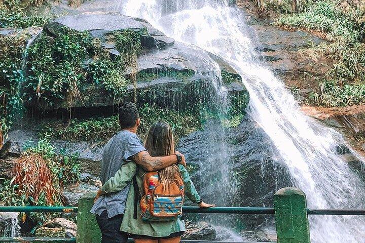 Botanical Garden and Tijuca Forest: Nature in Rio de Janeiro