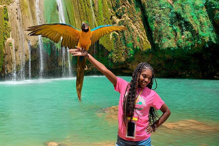 Adventure in Samaná : El Limón Waterfall
