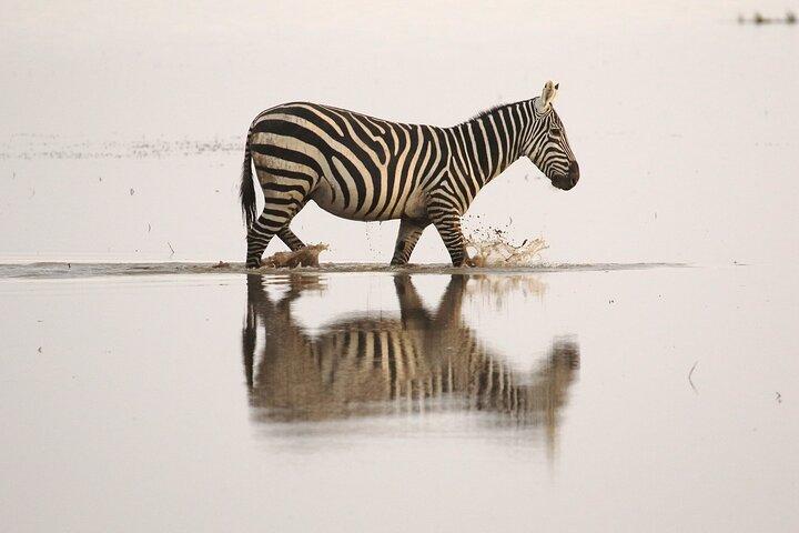 2 Day Amboseli National Park Safari