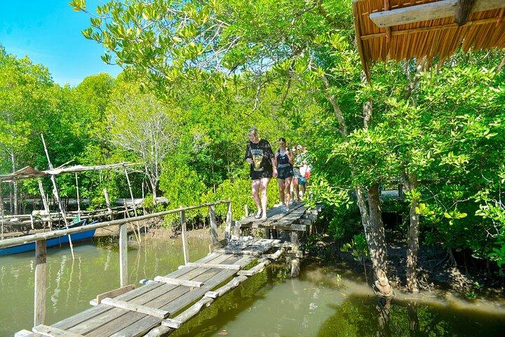 Koh Lanta Mangrove and Monkey Point Longtail Boat Tour