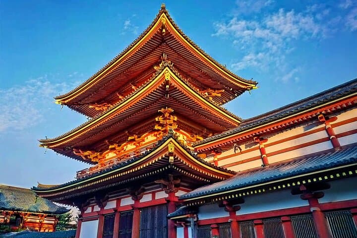 Private Customizable Tokyo Tour (Train, Walking, Car on Request)