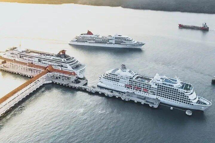 Shore Excursion to Kuala Lumpur City Tour from Klang Port Private