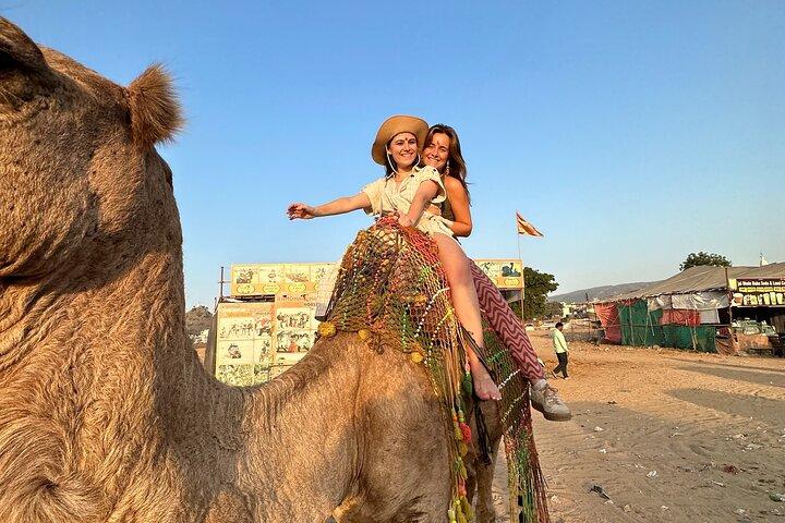 Jaipur Full-Day Sightseeing Tour