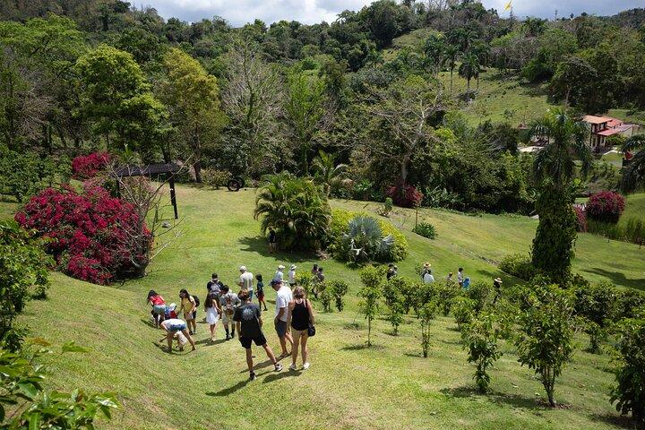 Puerto Rico Coffee Plantation & Waterfall River Tour