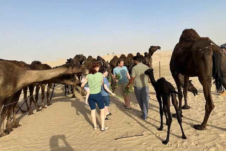 Private Abu Dhabi Sunset Desert Safari with Sand Boarding
