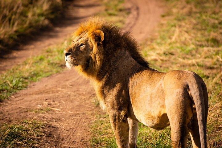 3 Days Serengeti and Ngorongoro Midrange Group Safari