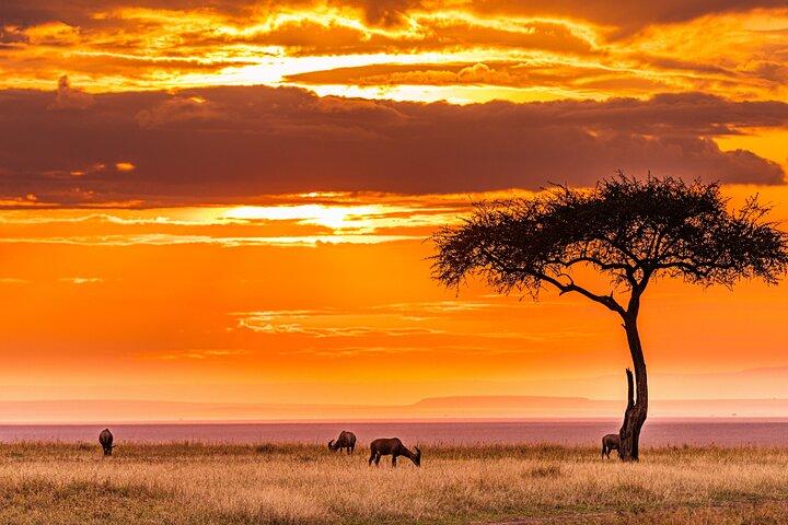 3 Days Serengeti and Ngorongoro Midrange Group Safari