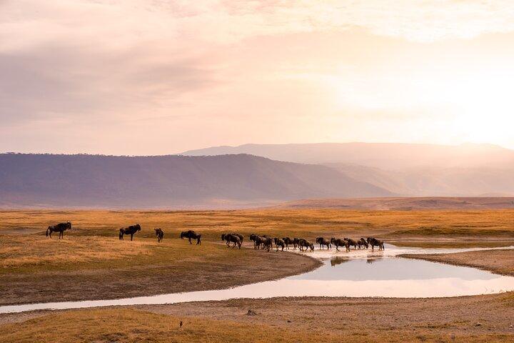 3 Days Serengeti and Ngorongoro Midrange Group Safari