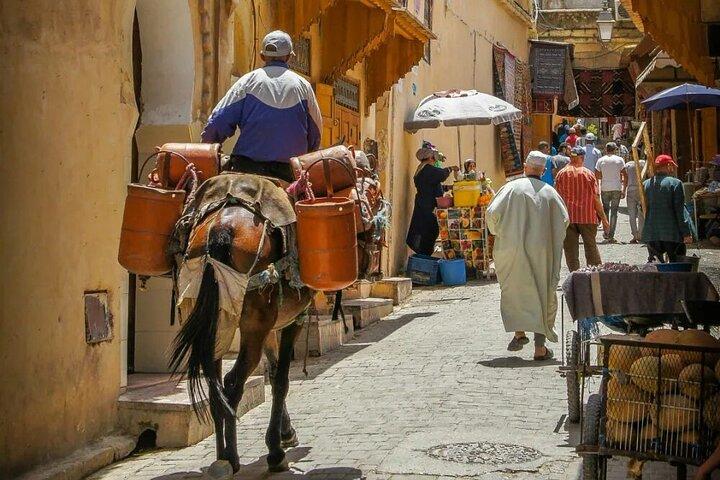 Fes Full Day Private Tour from Casablanca