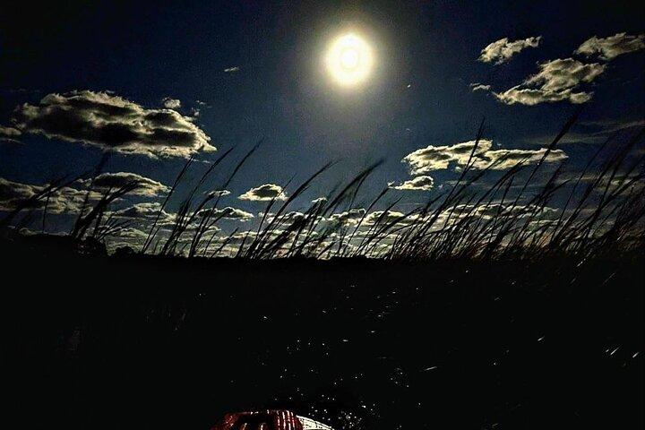 Amelia Full Moon Paddle at Talbot Islands State Park