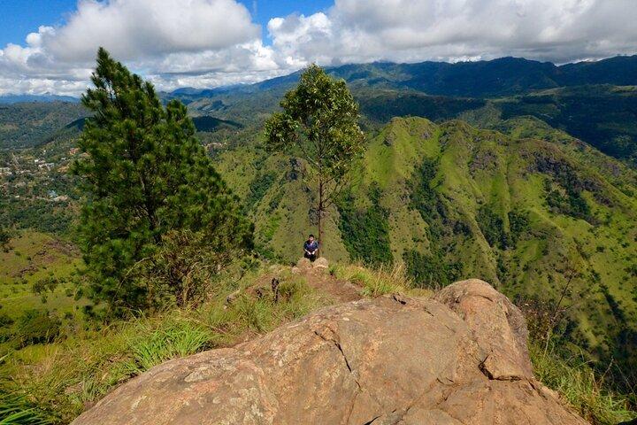 Ella Day Tour with Tea Factory Visit from Colombo or Negombo