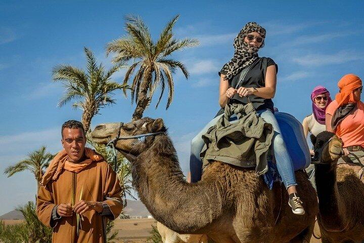 Agadir Sunset Camel Ride Tour with BBQ Dinner