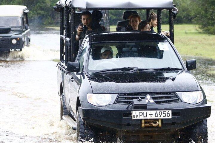 Wilpattu National Park Private Safari From Dambulla & Sigiriya