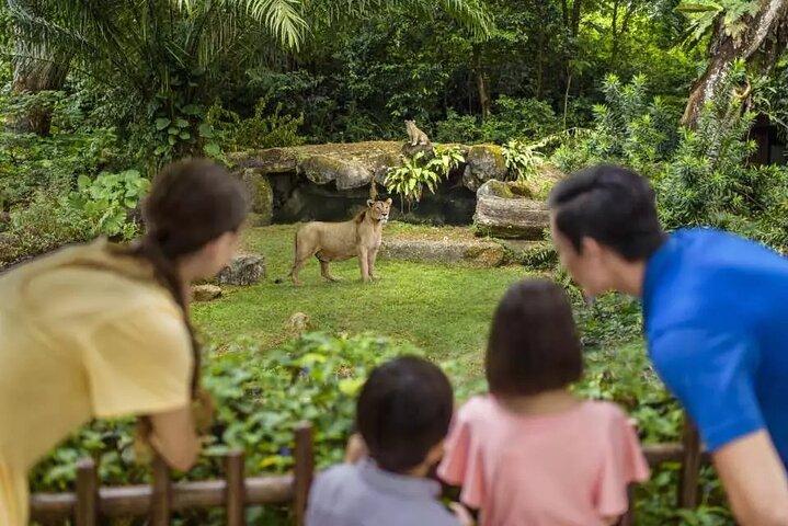 Singapore Zoo Ticket with Tram Mandai Wildlife Reserve, Singapore