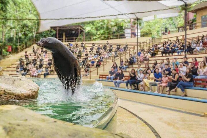 Singapore Zoo Ticket with Tram Mandai Wildlife Reserve, Singapore
