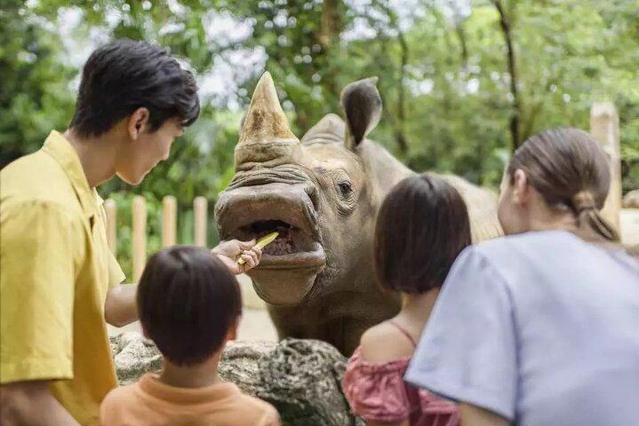 Singapore Zoo Ticket with Tram Mandai Wildlife Reserve, Singapore