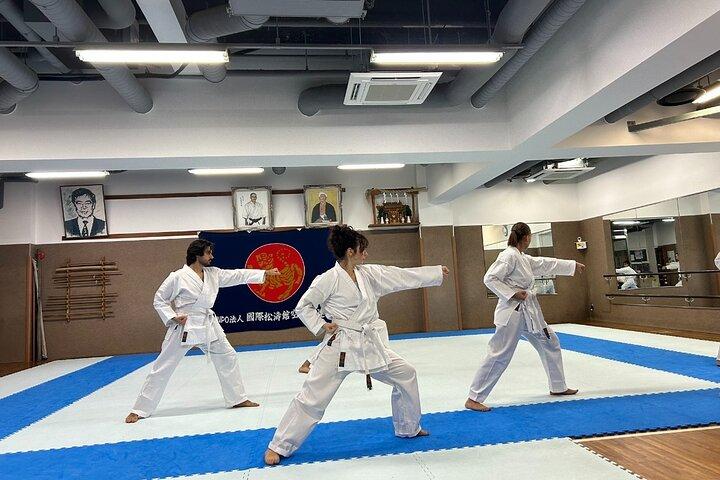 Karate Experience with the Shotokan Karate-do Instructor