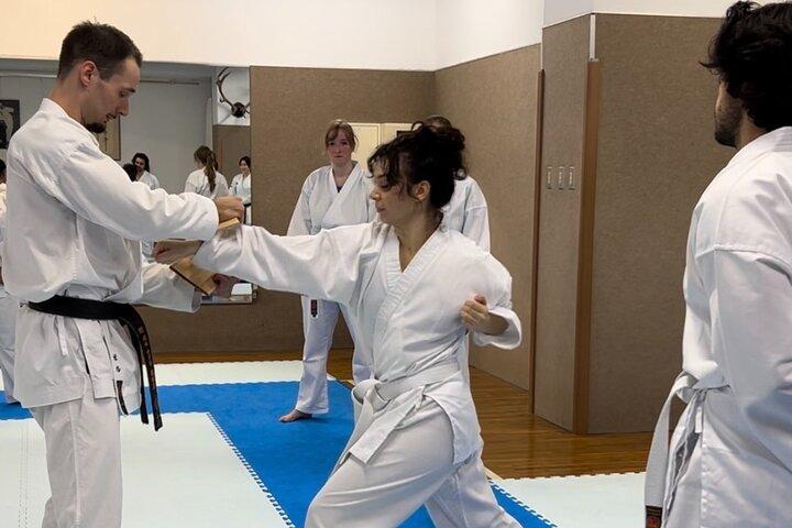 Karate Experience with the Shotokan Karate-do Instructor