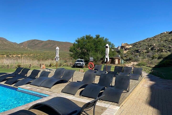 Cape Town Full Day Big 5 Game Reserve Safari with Lunch