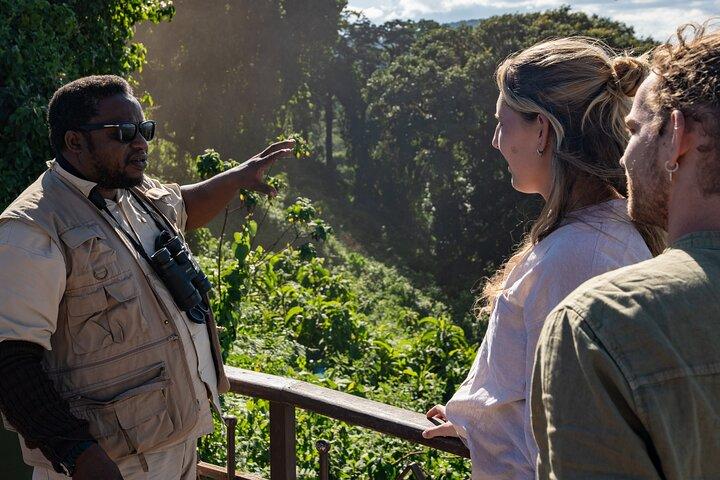 From Arusha: 5-Day Valleys and Highlands Safari Ngorongoro