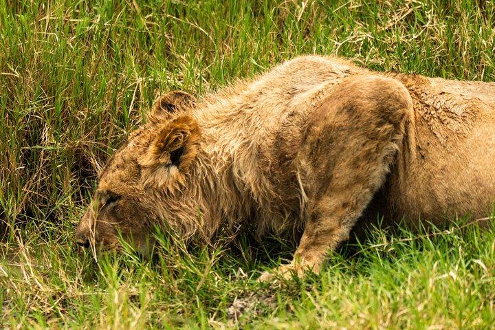 From Arusha: 5-Day Valleys and Highlands Safari Ngorongoro