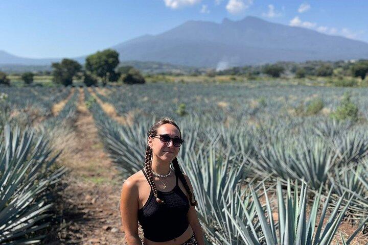 Full-Day Tour in Tequila factory and Cantaritos el Güero