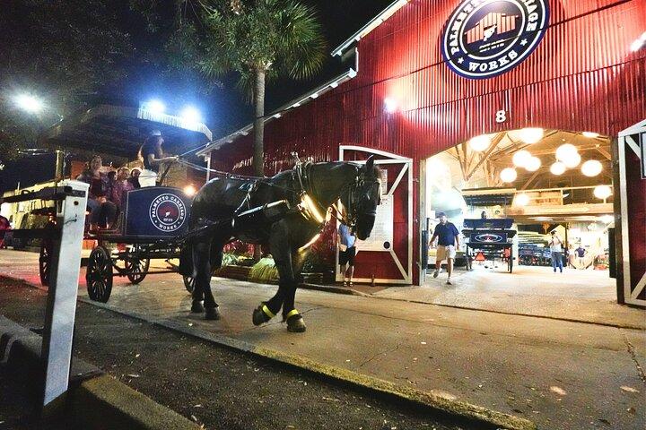 Private Evening Carriage Tour Charleston - Palmetto Carriage
