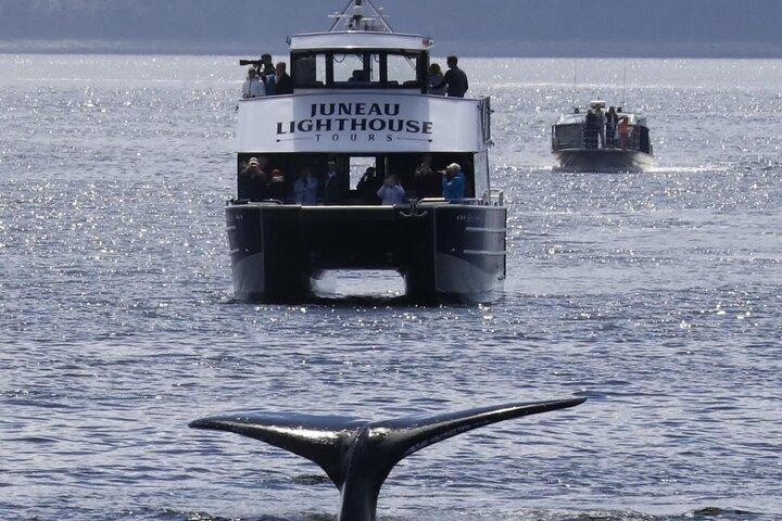 Juneau Lighthouse Tours - Whale watching & Lighthouse Combo