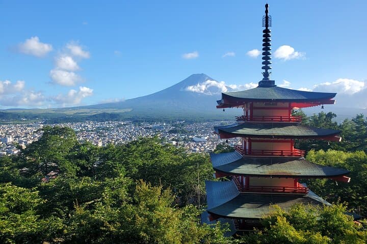 Mt. Fuji Customizable Private Tour for 9 people