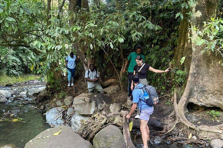 Mount Meru Arusha Napuru Waterfall Hike by Kingstone Asilia