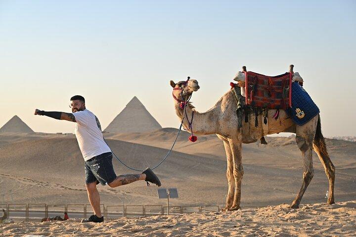 Cairo Day Tour to Grand Egyptian Museum, Giza Pyramids & Sphinx