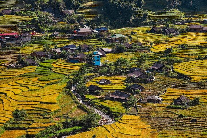 Northern Vietnam Discovery: 7-Day Journey to the Top Highlights