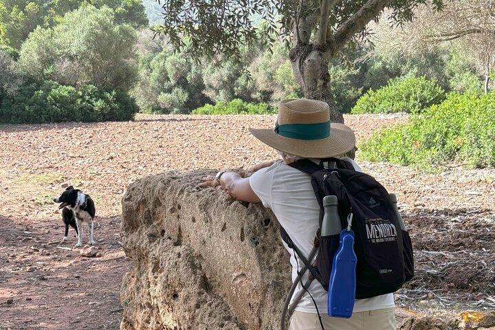 Half Day Private Guided Exclusive Hiking Experiences in Menorca