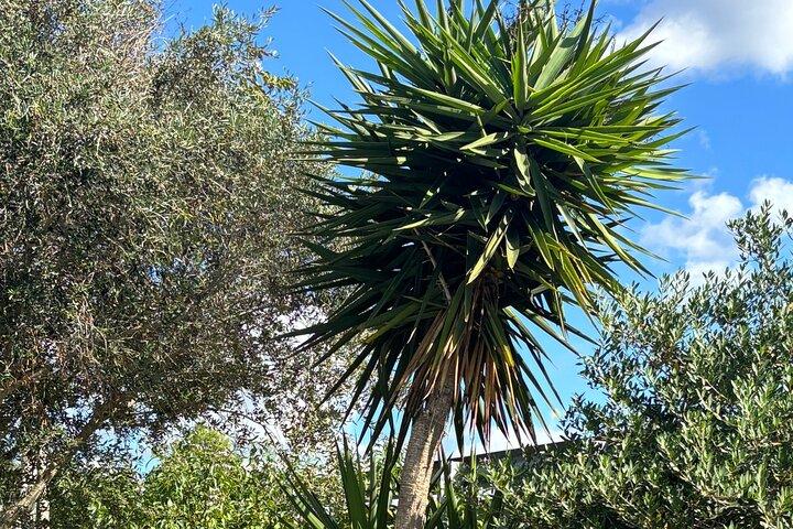 Half Day Private Guided Exclusive Hiking Experiences in Menorca