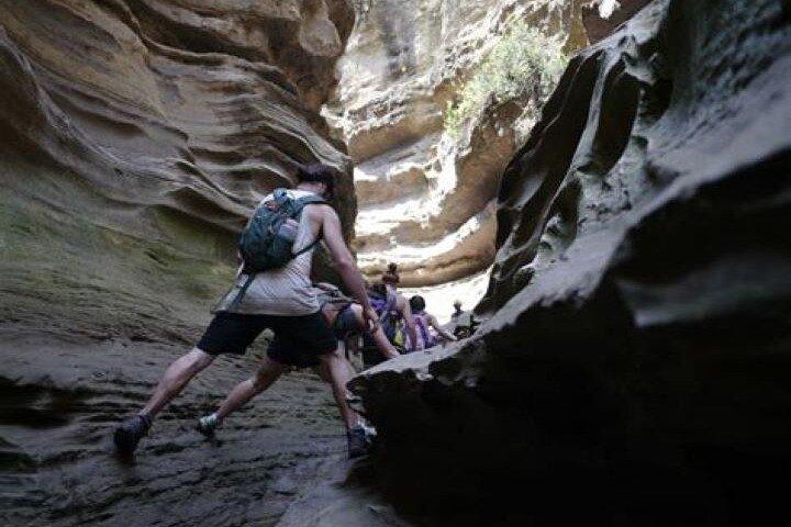Day Tour To Lake Naivasha, Crescent Island And Hell Gate Park