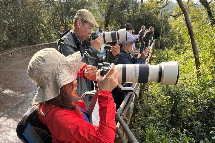 2-Days PRIVATE Brasil & Argentina Experience Iguazu Falls