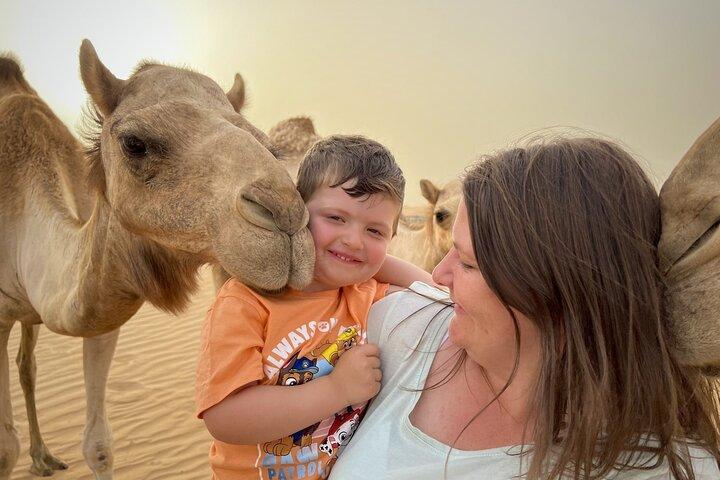 Dubai Red Dunes Desert Safari, With BBQ, Camel Ride, Sand Boarding And Much More