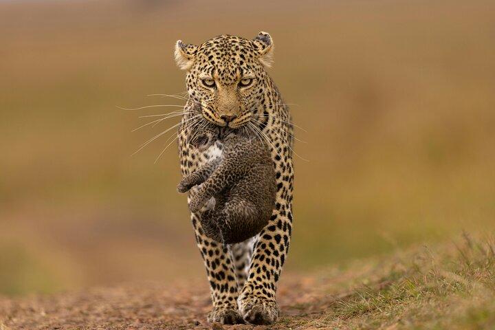 7 Days Best of Kenya Budget Shared Joining Safari