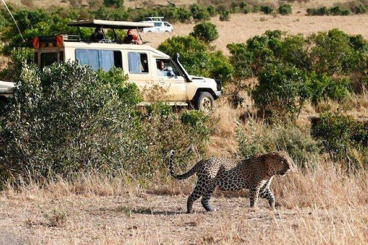 Private Day Tour To Amboseli National Park