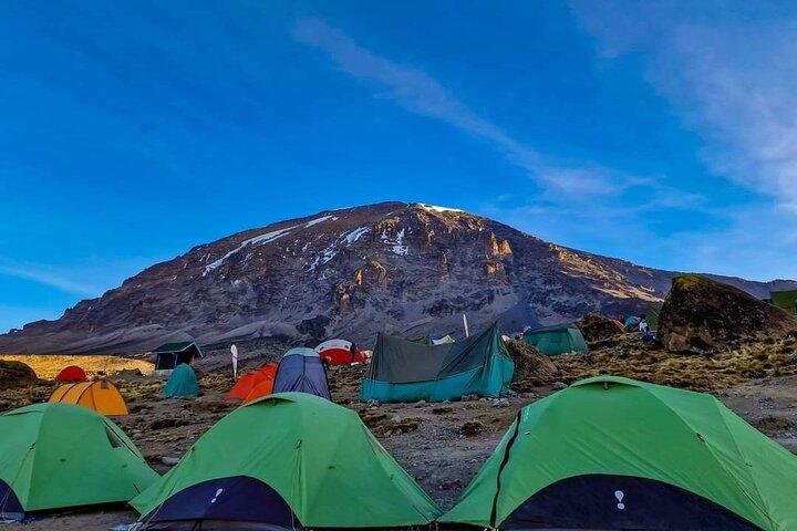 8 Days Kilimanjaro Trek Machame Route